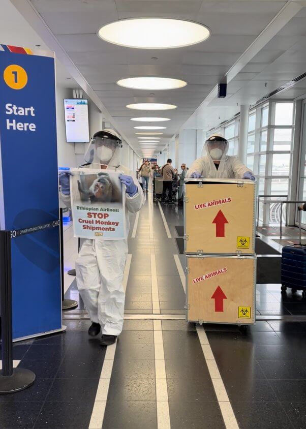 Demonstrators in hazmat suits at an airport gate