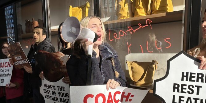 Protestor holding a megaphone