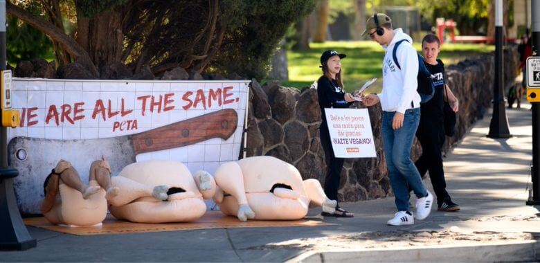 A demonstrator in a curled up fetal position next to two prop turkey carcasses. A passerby looks on at them as another demonstrator offers a leaflet