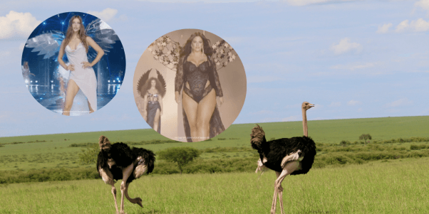 wild ostriches next to a photo of victoria's secret show for PETA's company of the year announcement