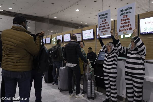 Demonstrators in prison outfits and monkey masks at an airport terminal