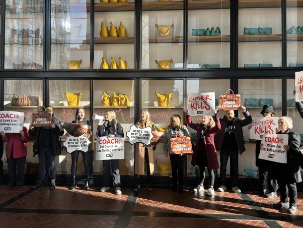 coach demo supporters in lobby