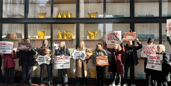 coach demo supporters in lobby