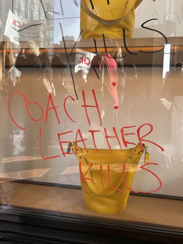 coach demo leather kills written on glass wall of purses