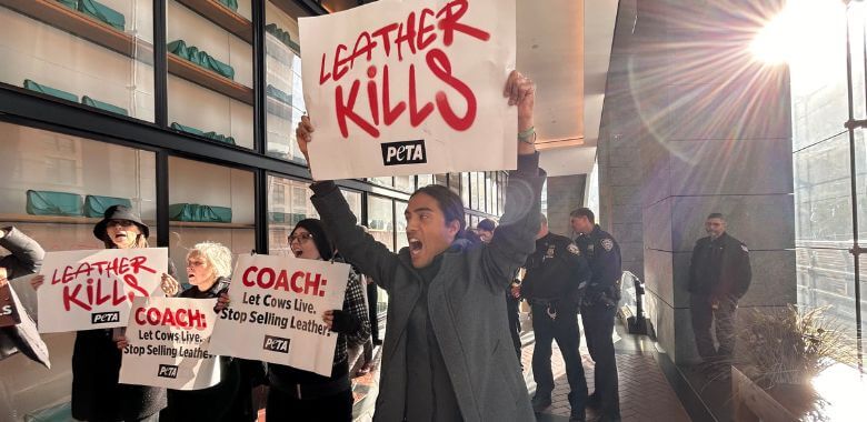 Demonstrator holding up a sign reading Leather Kills