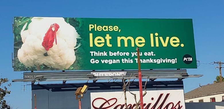 Billboard of a photo of a turkey with text reading Please, let me live. Think before you eat. Go vegan this Thanksgiving!