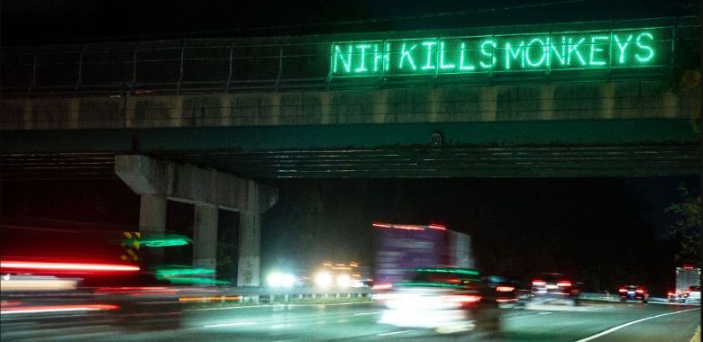 Light up sign reading 'NIH Kills Monkeys' above a busy freeway