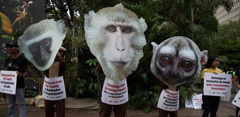 Demonstrators with signs wearing monkey masks