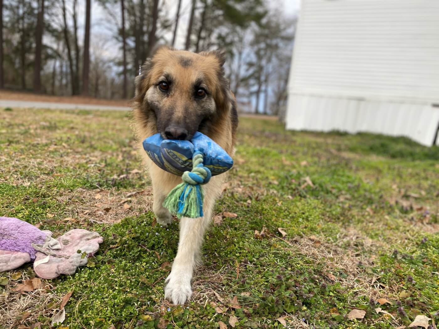 Princess holding a toy