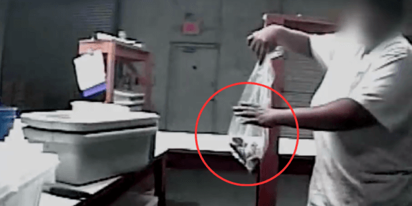 worker at sun pet putting hamsters in bag and bashing them against a table