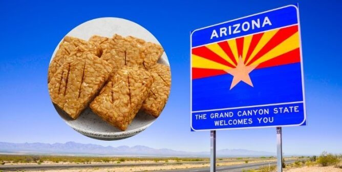 arizona state sign and freeway, tempeh on a plate