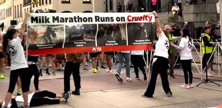 Demonstrators at the milk marathon holding a banner