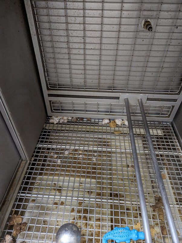 Photo of a cage interior showing moldy food