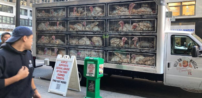 A man looking at the Hell on Wheels turkey truck