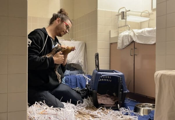 PETA fieldworker with hen