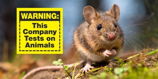 Photo of a brown mouse with a yellow "Warning: This Company Tests on Animals' sticker