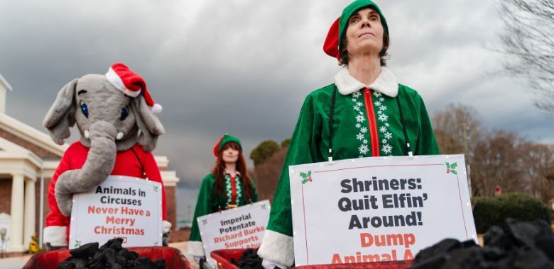 Three supporters dressed in festive costumes with wheelbarrows of coal