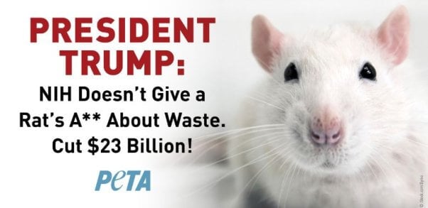 Billboard image of a photo of a white rat with text reading President Trump: NIH Doesn't Give a Rat's A** About Waste. Cut $23 Billion!