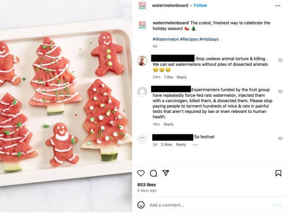 Screencap of an Instagram post from The Watermelon Board with comments from supporters