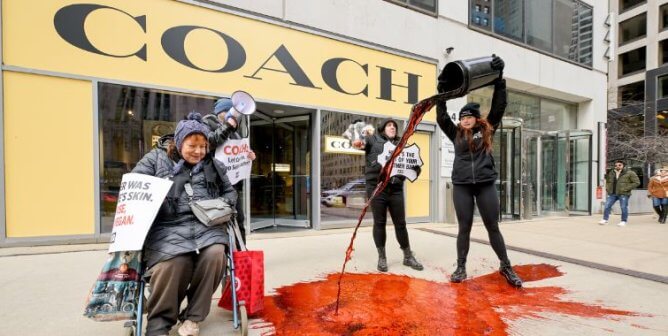 PETA demonstrator pouring a bucket of 'blood' in front of a Coach store