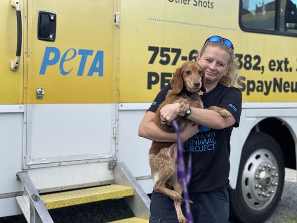 A PETA worker holdinf Copper in front of a mobile clinic