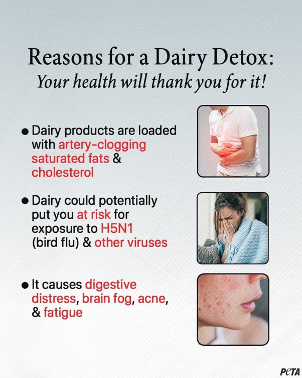 dairy detox health benefits