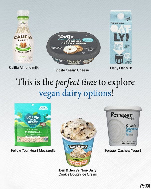 dairy detox vegan options