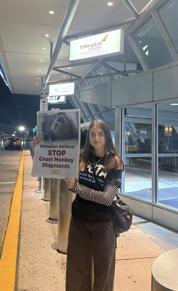 Demonstrator holds up a sign reading "Ethiopian Airlines: Stop Cruel Monkey Experiments"