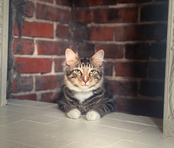 Ezekiel sitting in a brick fireplace