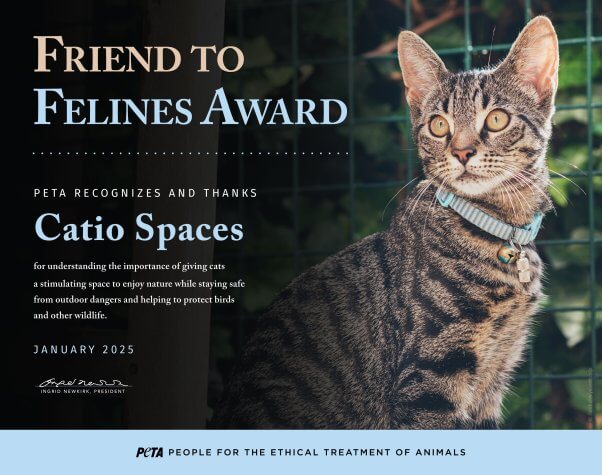 Friend to Felines award for Catio Spaces