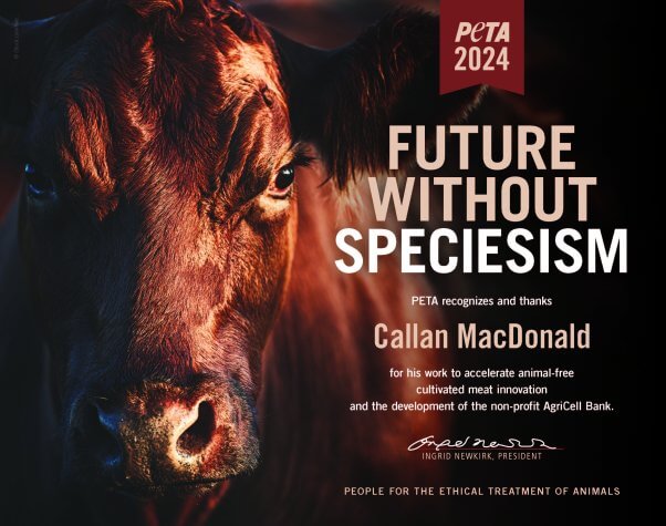 Certificate for the Future without Speciesism Award