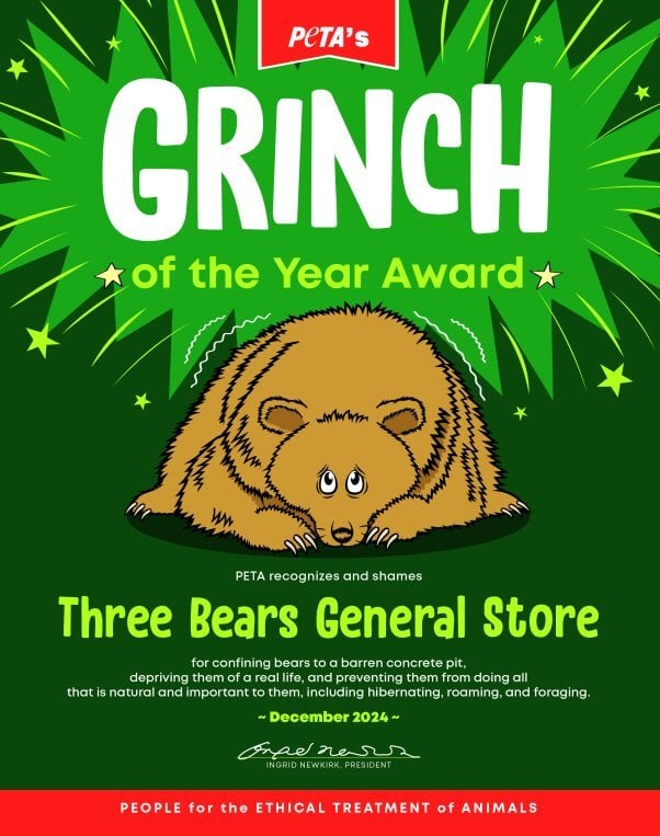 Grinch of the Year Award to Three Bears General Store