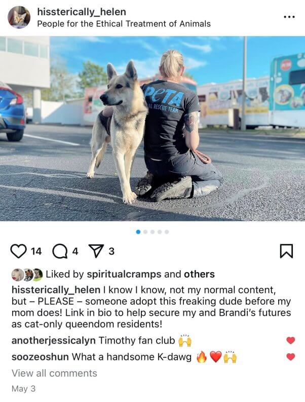 Instagram post from 'Helen' encouraging people to adopt Timothy