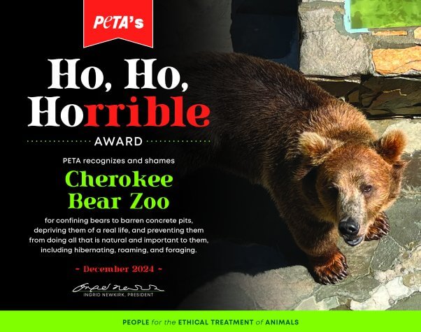 Ho Ho Horrible Award for Cherokee Bear Zoo