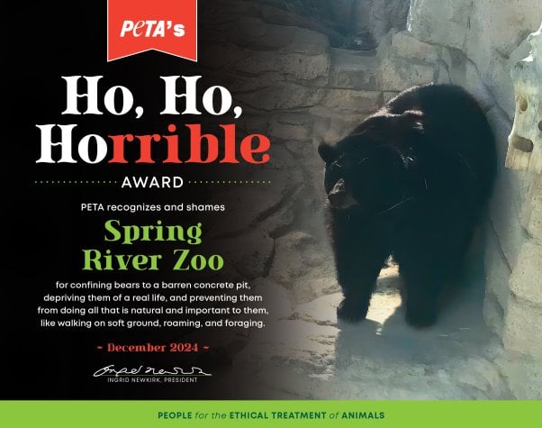 Ho Ho Horrible Award for Spring River Zoo