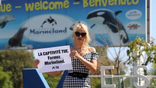 Pamela Anderson protesting outside Marineland France