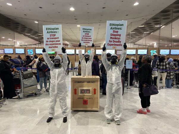 Three demonstrators in hazmat suits hold up signs at an airport terminal