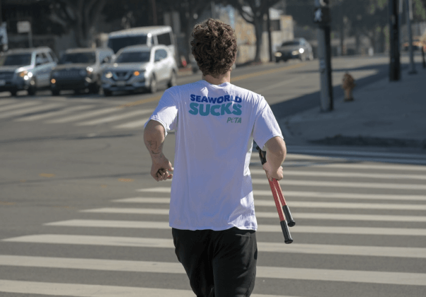 runner in "seaworld sucks" shirt at PETA's "RUn for Corky's Freedom"