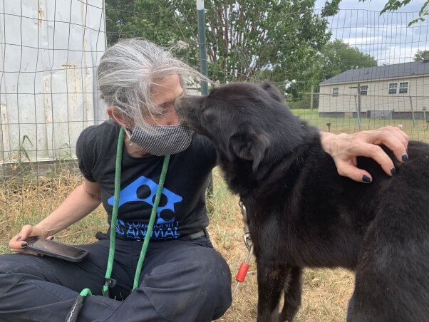 Rusty licking fieldworker's face