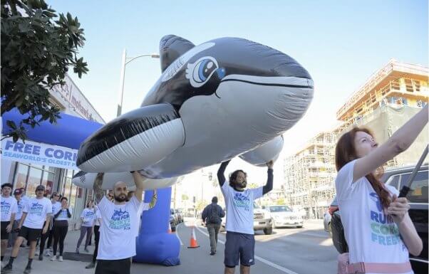 peta supporters carry giant inflatable orca at PETA's "Run for Corky's Freedom"