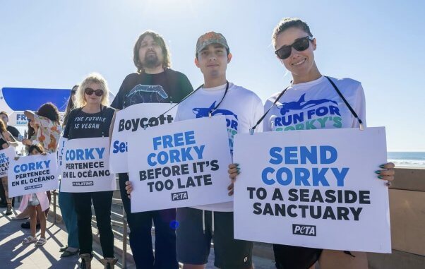 group holding "free" corky signs