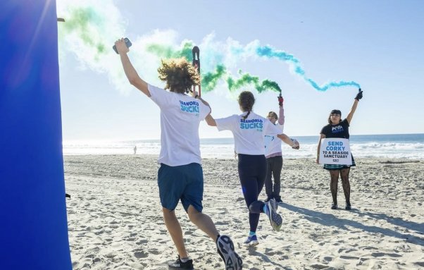 runners on the beach with colorful smoke flares