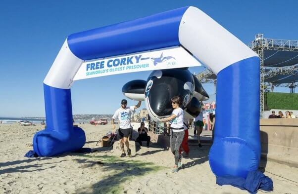 "run for corky's freedom" finish line