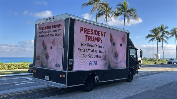 Mobile billboard truck showing the billboard