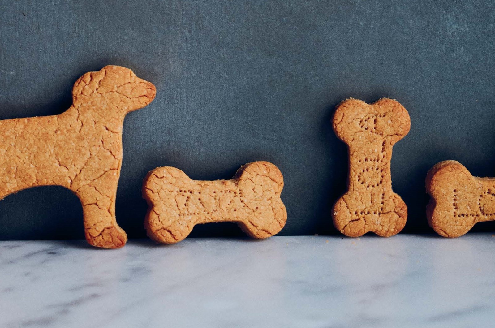 Pamela Anderson’s Zuzu Apple Nut Dog Treats