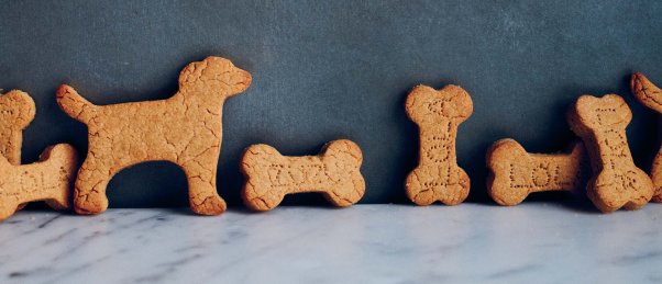 A line of shaped dog treats