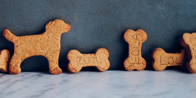 A line of shaped dog treats