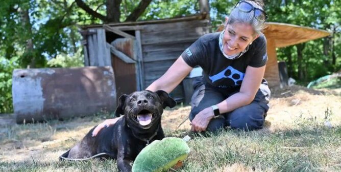 A PETA fieldworker pets Daisy Mae, a black dog