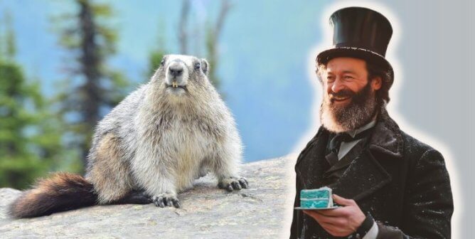 Man holding a slice of cake set next to a groundhog looking at the viewer