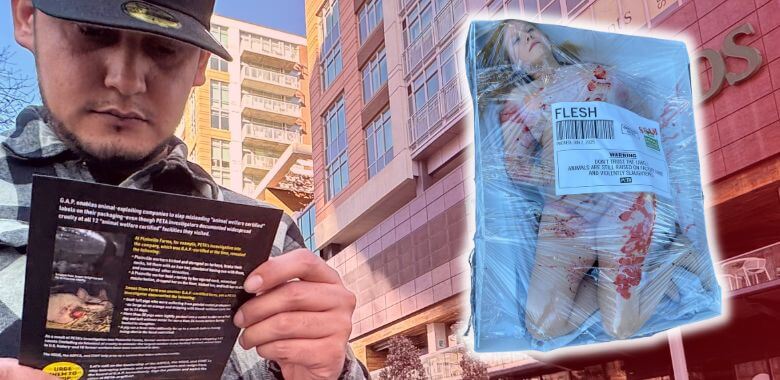 A man reading a leaflet with a woman encased in plastic superimposed next to him